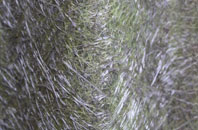 Old Clee fibreglass roof work